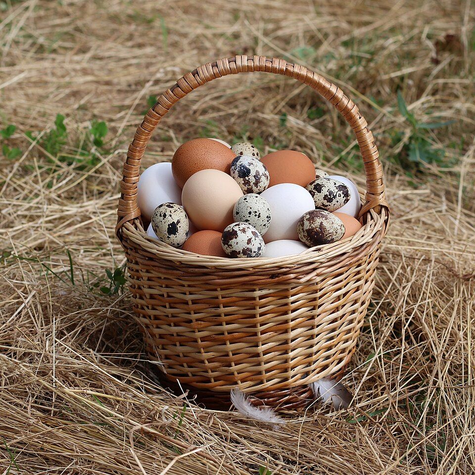Natural Seagrass Basket